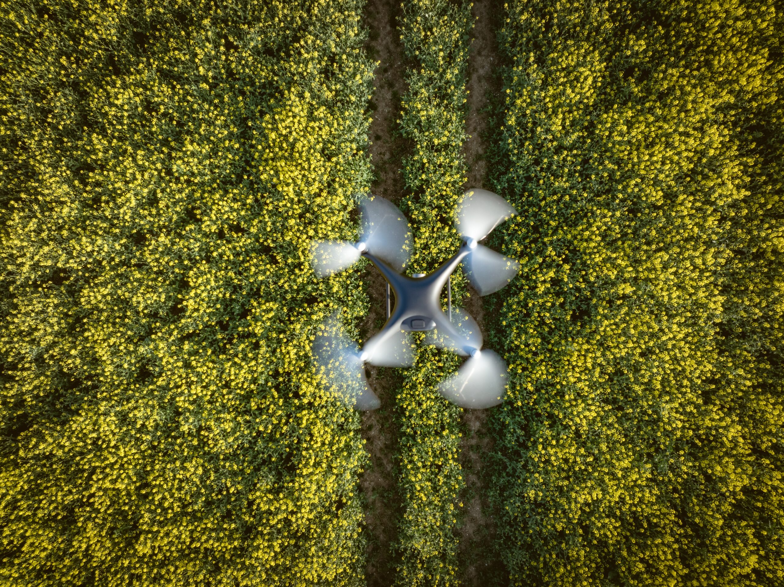 Drone Flying Above Green Farmland Scene