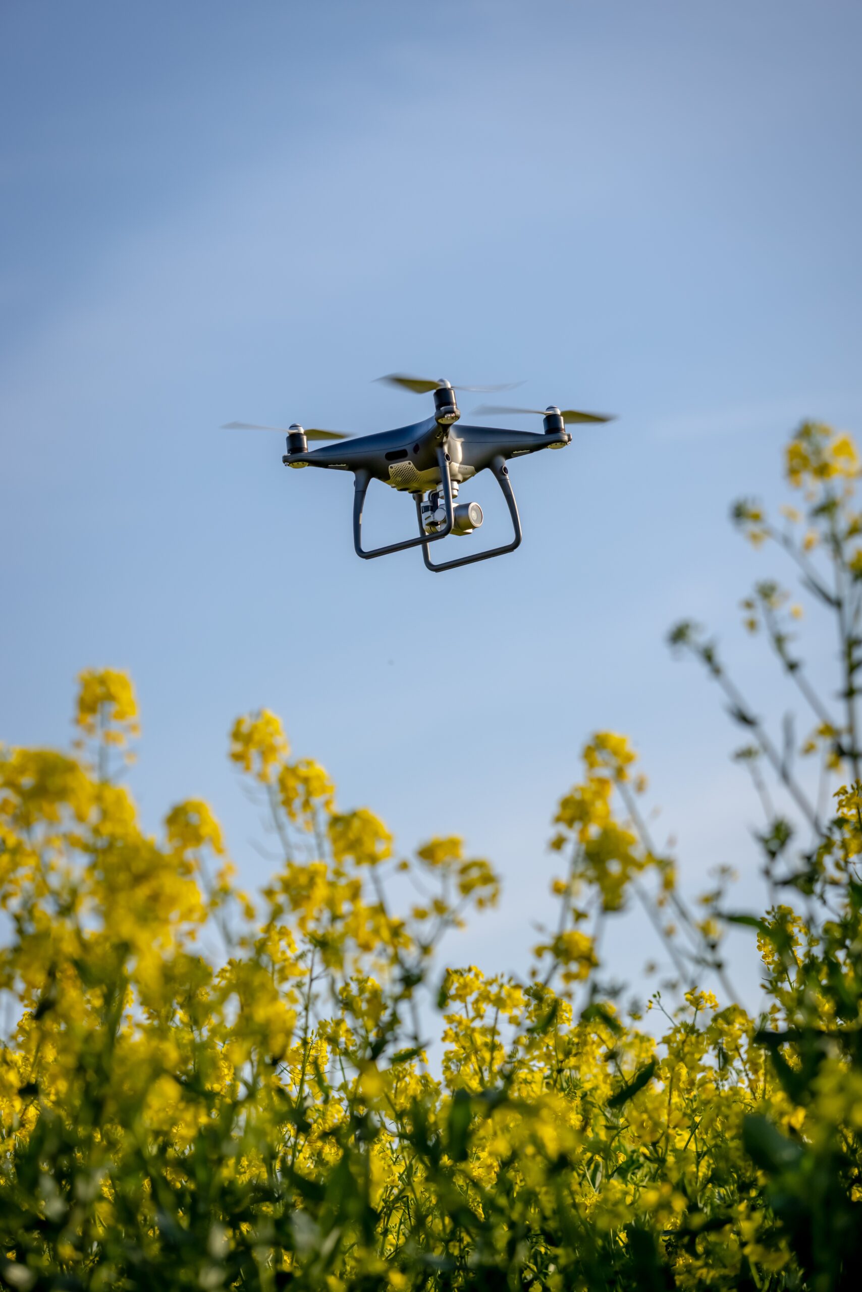 Drone surveying farmland from above