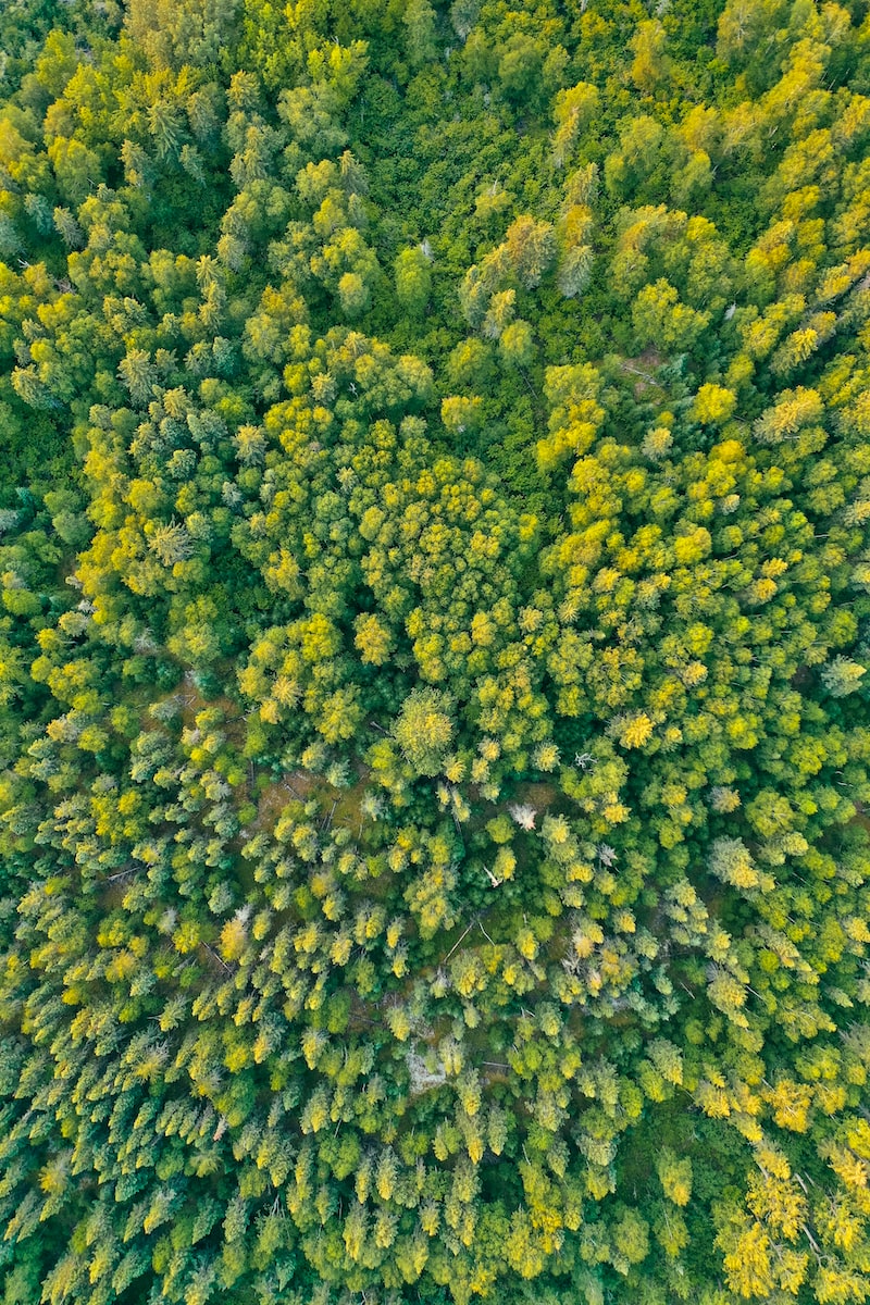 Drone capturing aerial terrain details